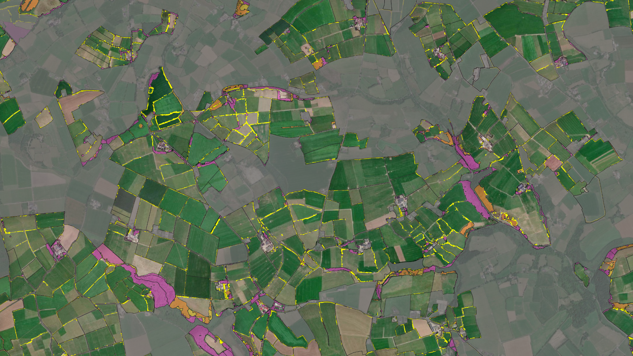 Carbery land cover habitats mapped from above